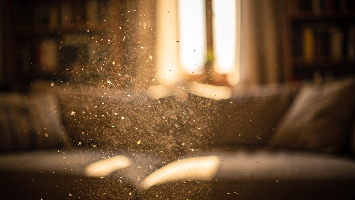 Cat dander and Allergies: Microscopic cat dander floating in sunlight
