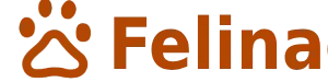 logo Felina Care Hub