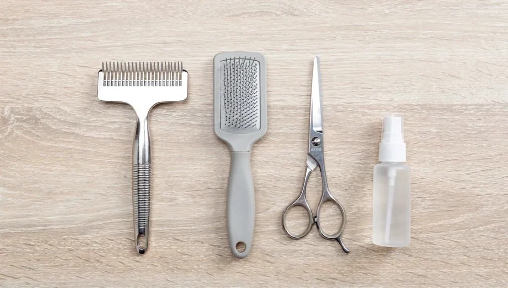 Cat dematting tools flat lay including comb brush and scissors