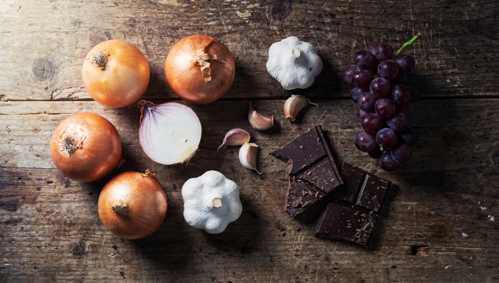 Human Foods Toxic to Cats: Overhead flat lay of foods toxic to cats including onions, garlic, grapes, and chocolate